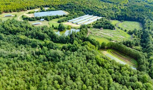 Photo #9 of 687 Brock Rd., Linden, NC 71.1 acres