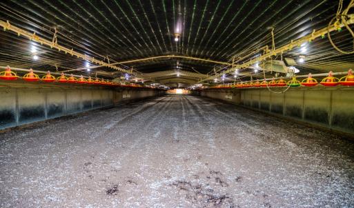 Photo #12 of 687 Brock Rd., Linden, NC 71.1 acres