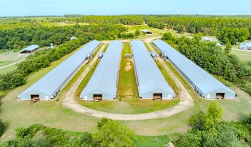 Photo #43 of 687 Brock Rd., Linden, NC 71.1 acres