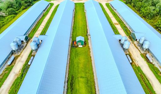 Photo #44 of 687 Brock Rd., Linden, NC 71.1 acres