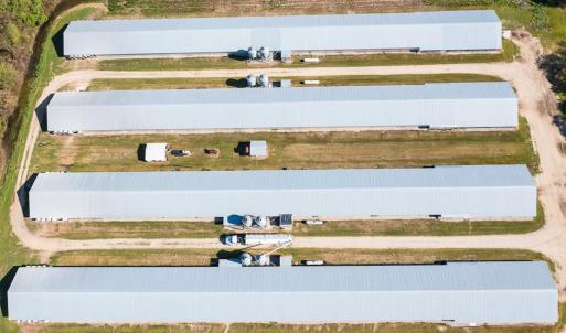 Photo #52 of 687 Brock Rd., Linden, NC 71.1 acres