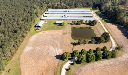 Photo #53 of 687 Brock Rd., Linden, NC 71.1 acres