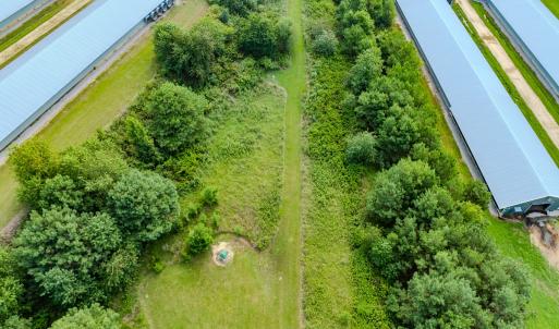 Photo #85 of 687 Brock Rd., Linden, NC 71.1 acres