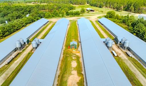 Photo #86 of 687 Brock Rd., Linden, NC 71.1 acres