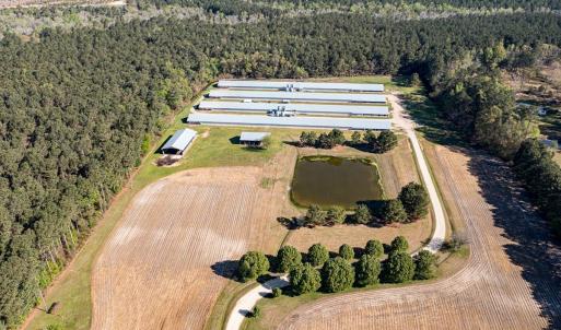 Photo #87 of 687 Brock Rd., Linden, NC 71.1 acres