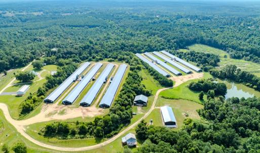 Photo #88 of 687 Brock Rd., Linden, NC 71.1 acres