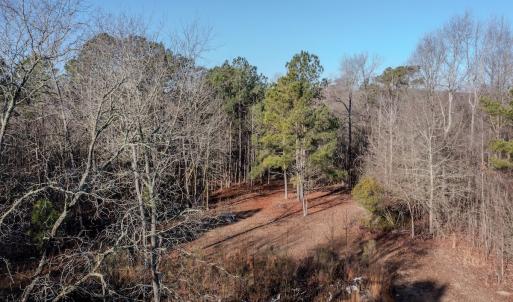 Photo #3 of 4068 Midway Road, Maxton, NC 115.3 acres