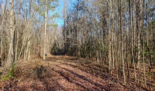 Photo #20 of 4068 Midway Road, Maxton, NC 115.3 acres