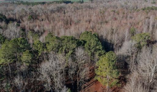 Photo #4 of 4068 Midway Road, Maxton, NC 115.3 acres