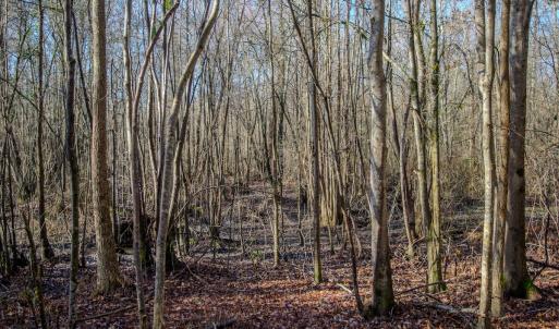 Photo #22 of 4068 Midway Road, Maxton, NC 115.3 acres