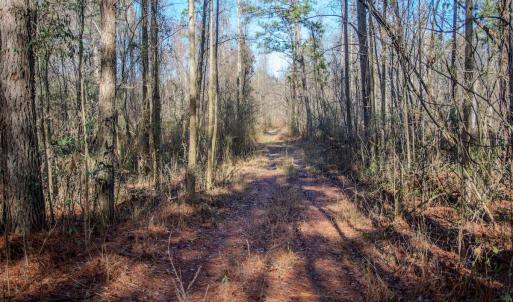 Photo #23 of 4068 Midway Road, Maxton, NC 115.3 acres