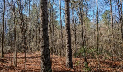 Photo #24 of 4068 Midway Road, Maxton, NC 115.3 acres