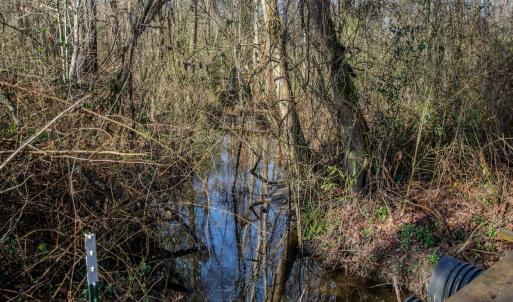 Photo #26 of 4068 Midway Road, Maxton, NC 115.3 acres