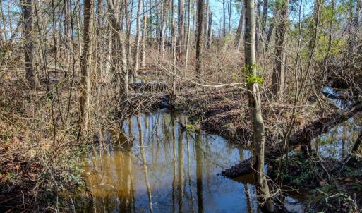 Photo #27 of 4068 Midway Road, Maxton, NC 115.3 acres