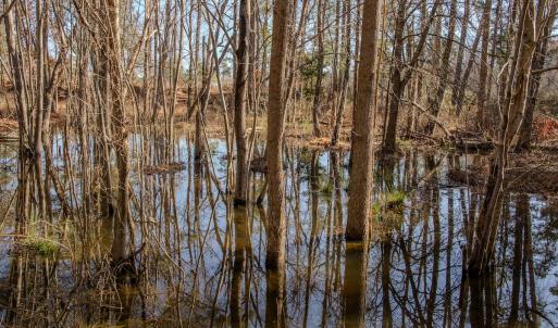 Photo #29 of 4068 Midway Road, Maxton, NC 115.3 acres