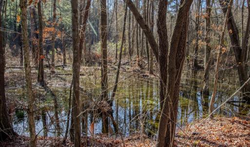 Photo #31 of 4068 Midway Road, Maxton, NC 115.3 acres