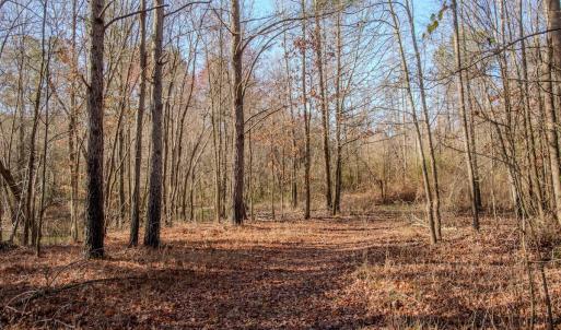 Photo #32 of 4068 Midway Road, Maxton, NC 115.3 acres