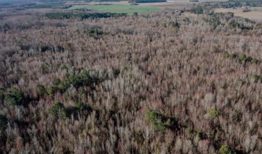 Photo #5 of 4068 Midway Road, Maxton, NC 115.3 acres
