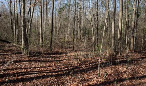 Photo #33 of 4068 Midway Road, Maxton, NC 115.3 acres