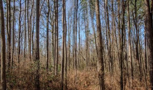 Photo #34 of 4068 Midway Road, Maxton, NC 115.3 acres
