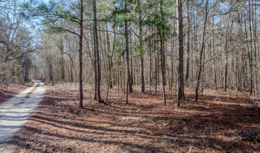 Photo #39 of 4068 Midway Road, Maxton, NC 115.3 acres