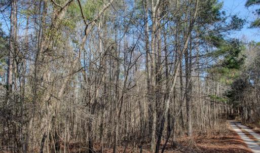 Photo #40 of 4068 Midway Road, Maxton, NC 115.3 acres