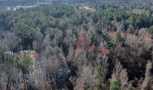 Photo #6 of 4068 Midway Road, Maxton, NC 115.3 acres