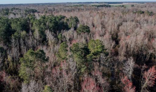 Photo #7 of 4068 Midway Road, Maxton, NC 115.3 acres