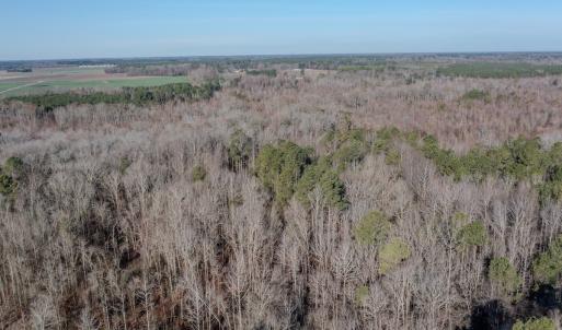 Photo #8 of 4068 Midway Road, Maxton, NC 115.3 acres