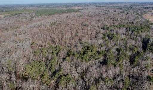 Photo #9 of 4068 Midway Road, Maxton, NC 115.3 acres