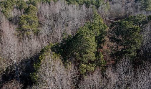 Photo #10 of 4068 Midway Road, Maxton, NC 115.3 acres