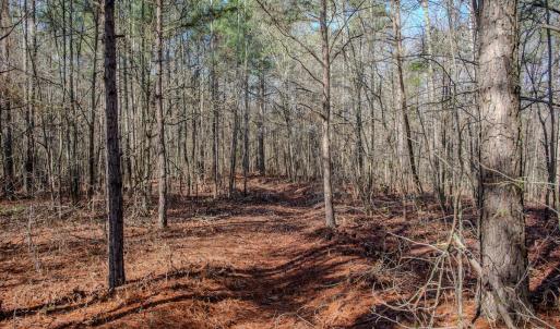 Photo #41 of 4068 Midway Road, Maxton, NC 115.3 acres
