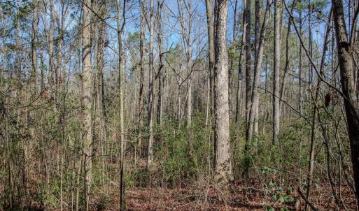 Photo #44 of 4068 Midway Road, Maxton, NC 115.3 acres