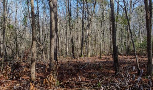 Photo #46 of 4068 Midway Road, Maxton, NC 115.3 acres