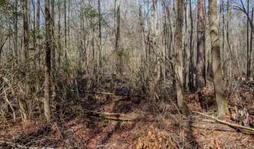Photo #47 of 4068 Midway Road, Maxton, NC 115.3 acres