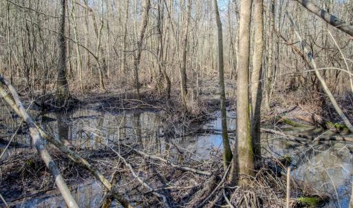 Photo #48 of 4068 Midway Road, Maxton, NC 115.3 acres