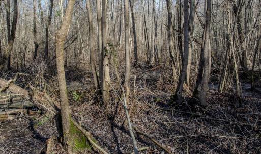 Photo #49 of 4068 Midway Road, Maxton, NC 115.3 acres