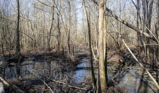 Photo #50 of 4068 Midway Road, Maxton, NC 115.3 acres