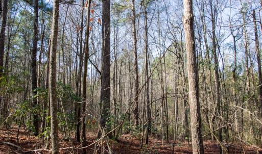 Photo #52 of 4068 Midway Road, Maxton, NC 115.3 acres