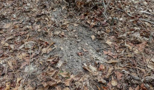 Photo #53 of 4068 Midway Road, Maxton, NC 115.3 acres