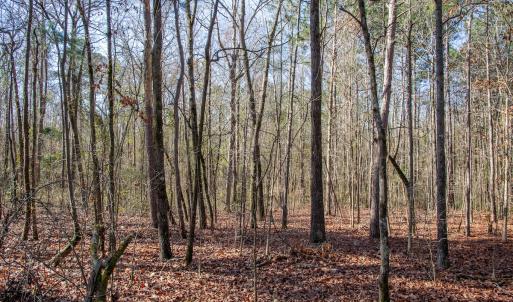 Photo #55 of 4068 Midway Road, Maxton, NC 115.3 acres