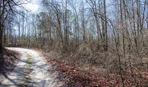 Photo #57 of 4068 Midway Road, Maxton, NC 115.3 acres