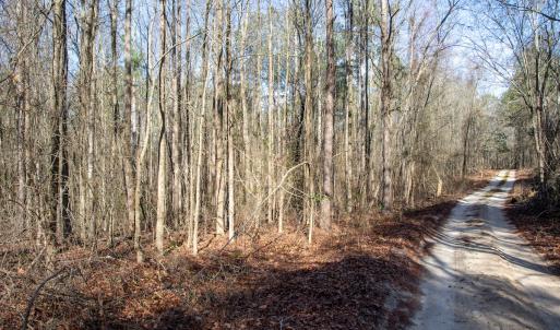 Photo #58 of 4068 Midway Road, Maxton, NC 115.3 acres