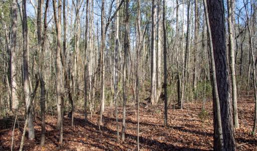 Photo #59 of 4068 Midway Road, Maxton, NC 115.3 acres