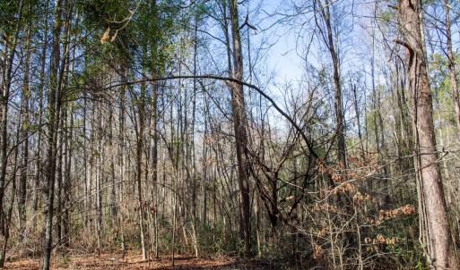 Photo #60 of 4068 Midway Road, Maxton, NC 115.3 acres