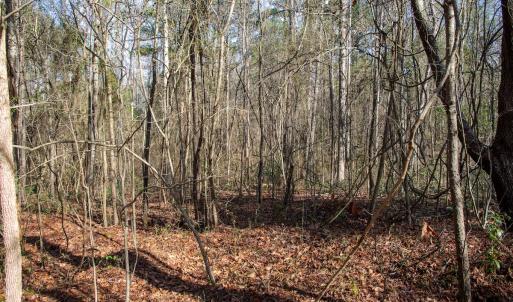 Photo #61 of 4068 Midway Road, Maxton, NC 115.3 acres