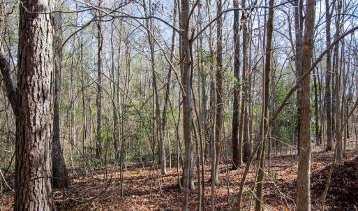 Photo #62 of 4068 Midway Road, Maxton, NC 115.3 acres