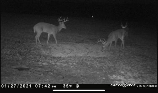 Photo #66 of 4068 Midway Road, Maxton, NC 115.3 acres