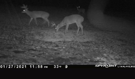 Photo #67 of 4068 Midway Road, Maxton, NC 115.3 acres