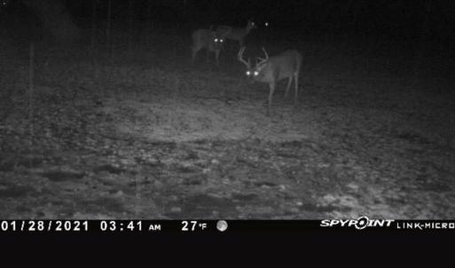 Photo #68 of 4068 Midway Road, Maxton, NC 115.3 acres
